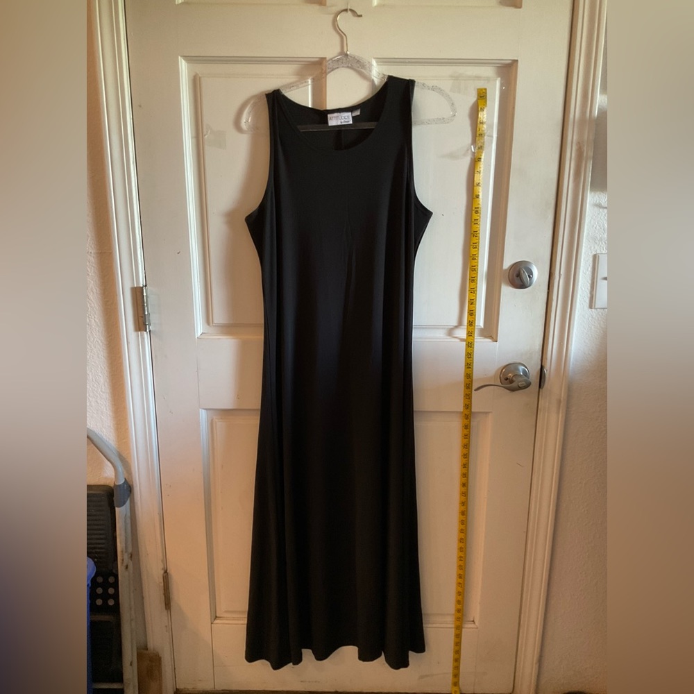 NWOT Attitudes by Renee black maxi